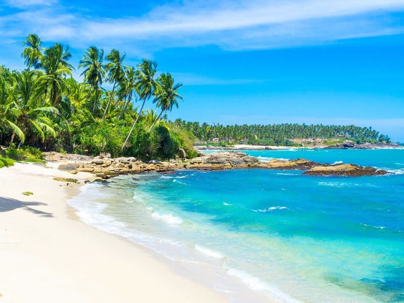 Bentota River & Beach Adventure Tour - Gallery 6