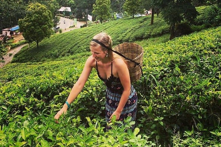 Nuwara Eliya Day Tour – 1 Day Hill Country Escape - Image 5