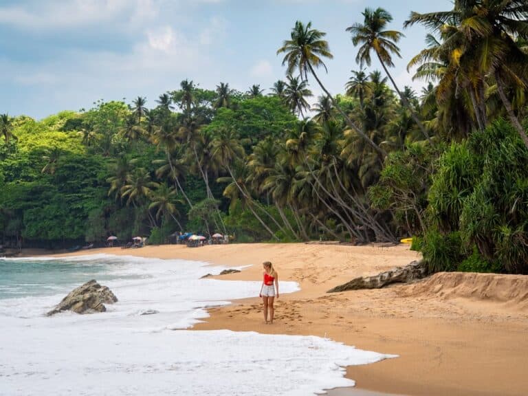 Surfing & Beach Vibes Day Tour – Ride the Waves of Paradise! - Image 2