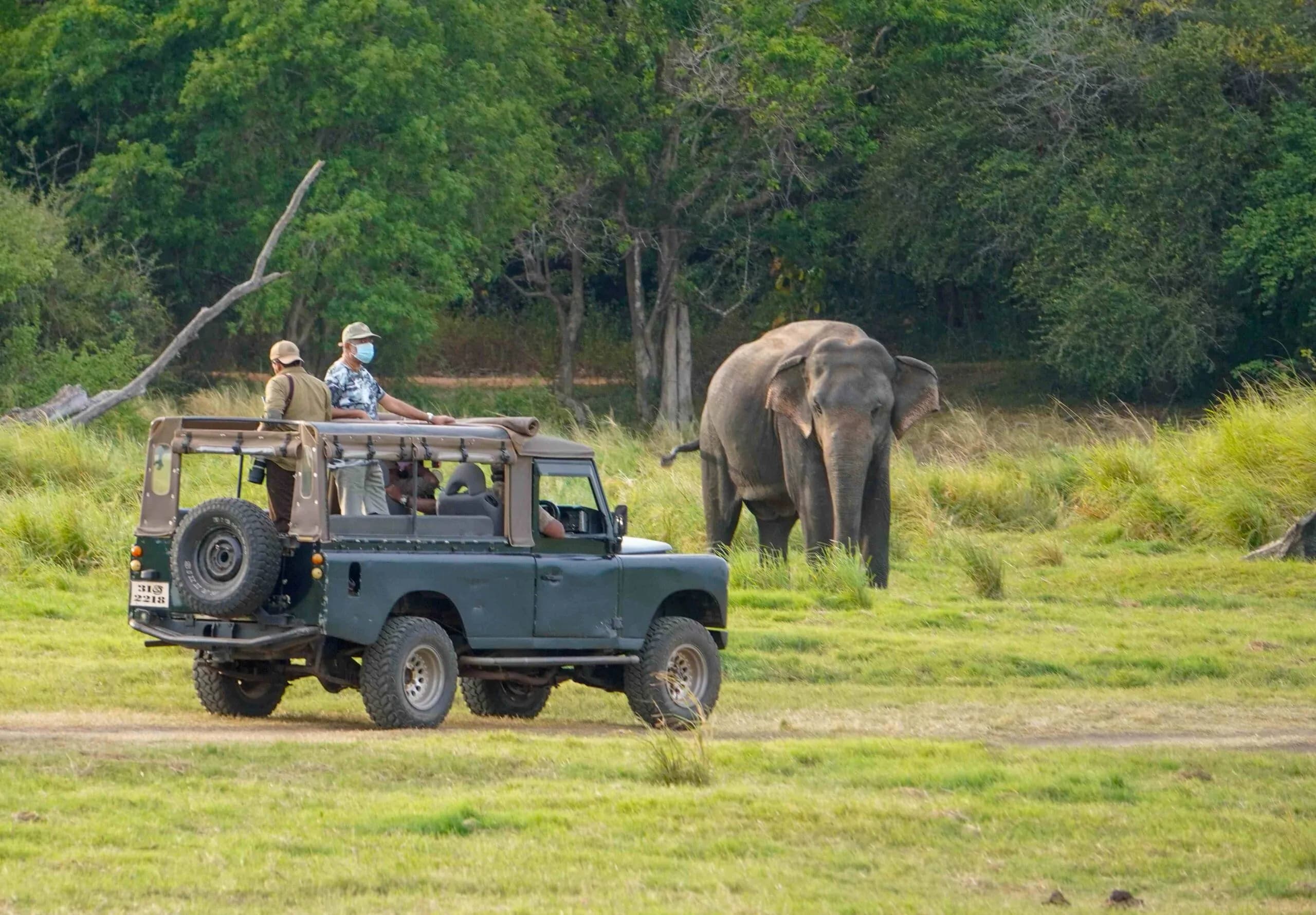 Wildlife & Safari Day Tour – Discover Sri Lanka’s Untamed Beauty - Image 2