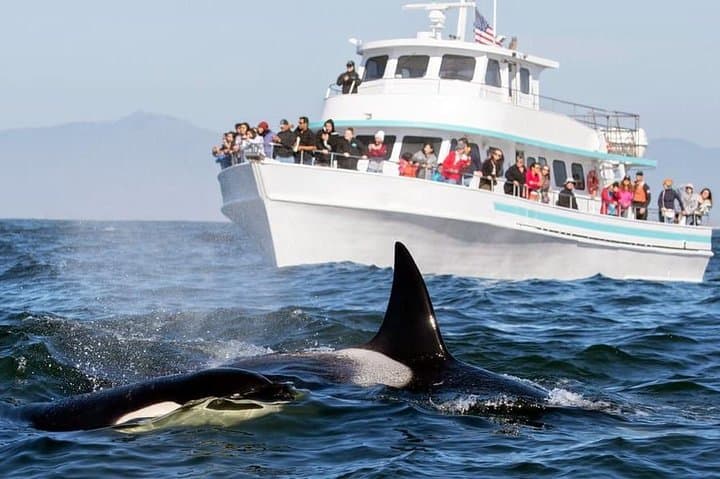  Beach & Relaxation Escape  - Image 2