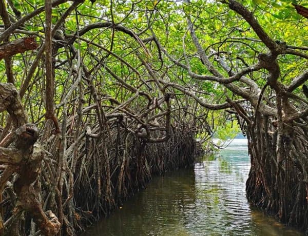  Beach & Relaxation Escape  - Image 5