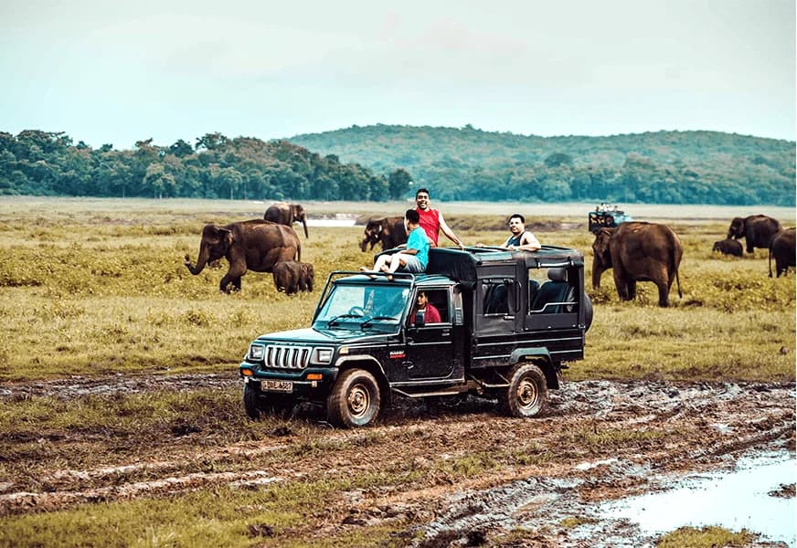  Full Island Discovery Tour  - Image 8