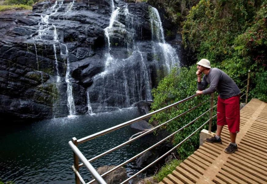 Hill Country & Tea Experience  - Image 5