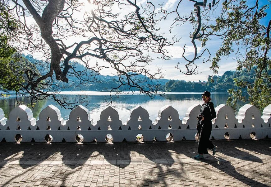 Hill Country & Tea Experience  - Image 6