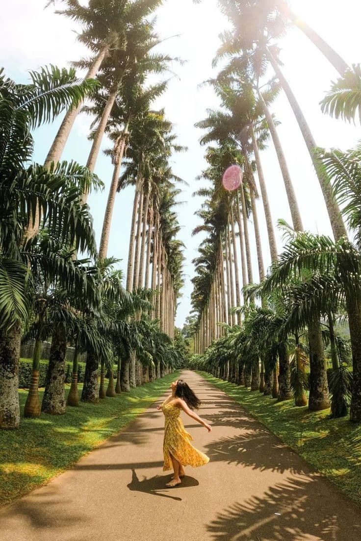  Romantic / Honeymoon Getaway - Image 4