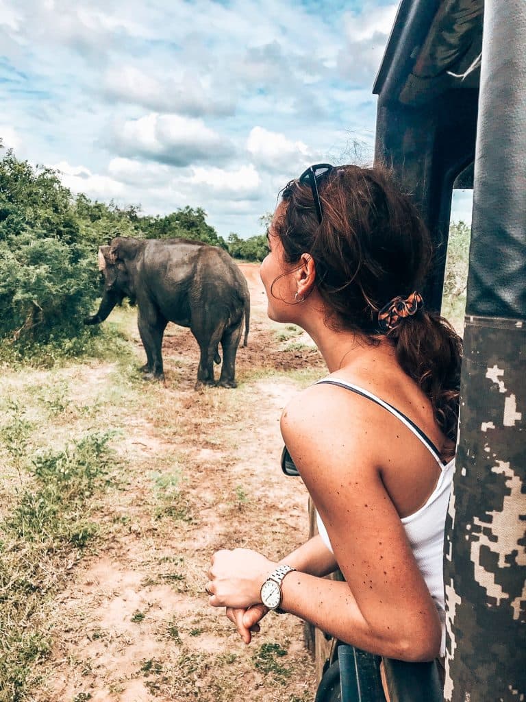 Wildlife & Safari Package - Image 3