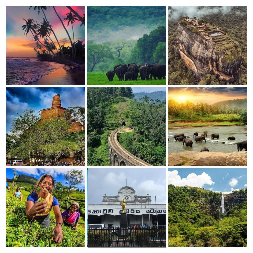 Sigiriya Rock Fortress in Sri Lanka