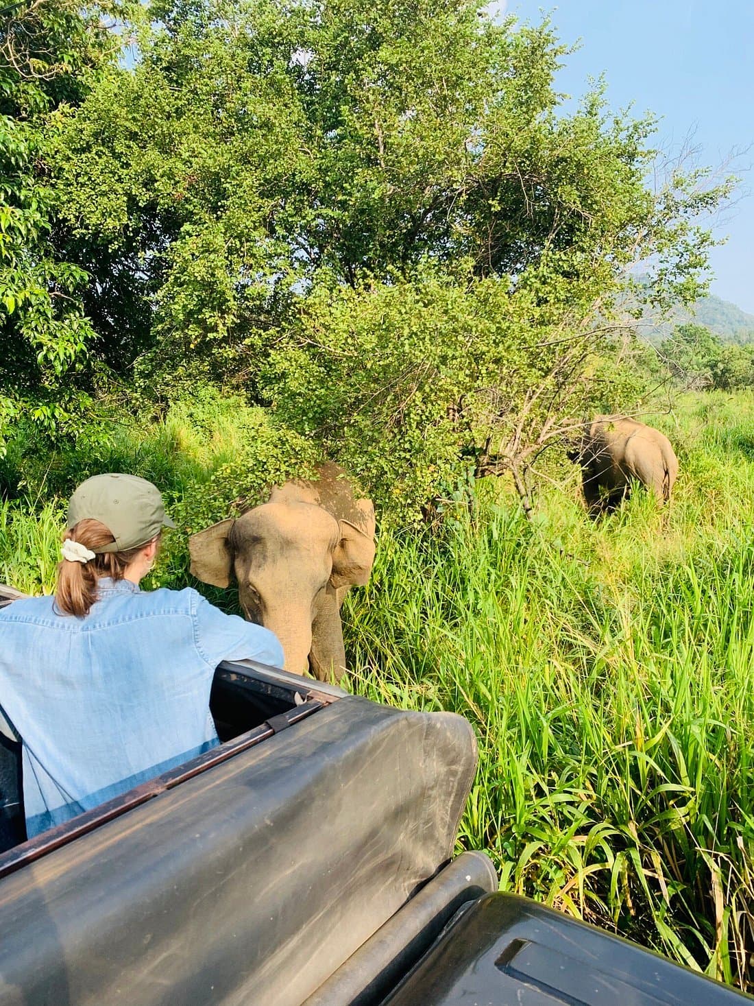 Kaudulla National Park - Gallery 4