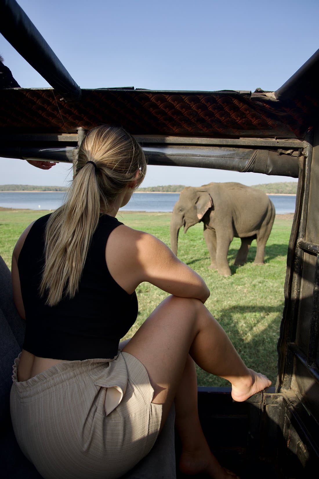 Kaudulla National Park - Gallery 6