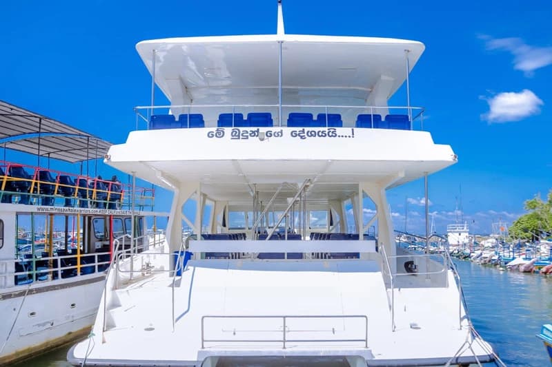 Mirissa Whale Watching Tour - Gallery 1