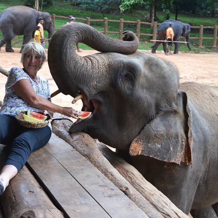 Pinnawala Elephant Orphanage Tour - Gallery 2