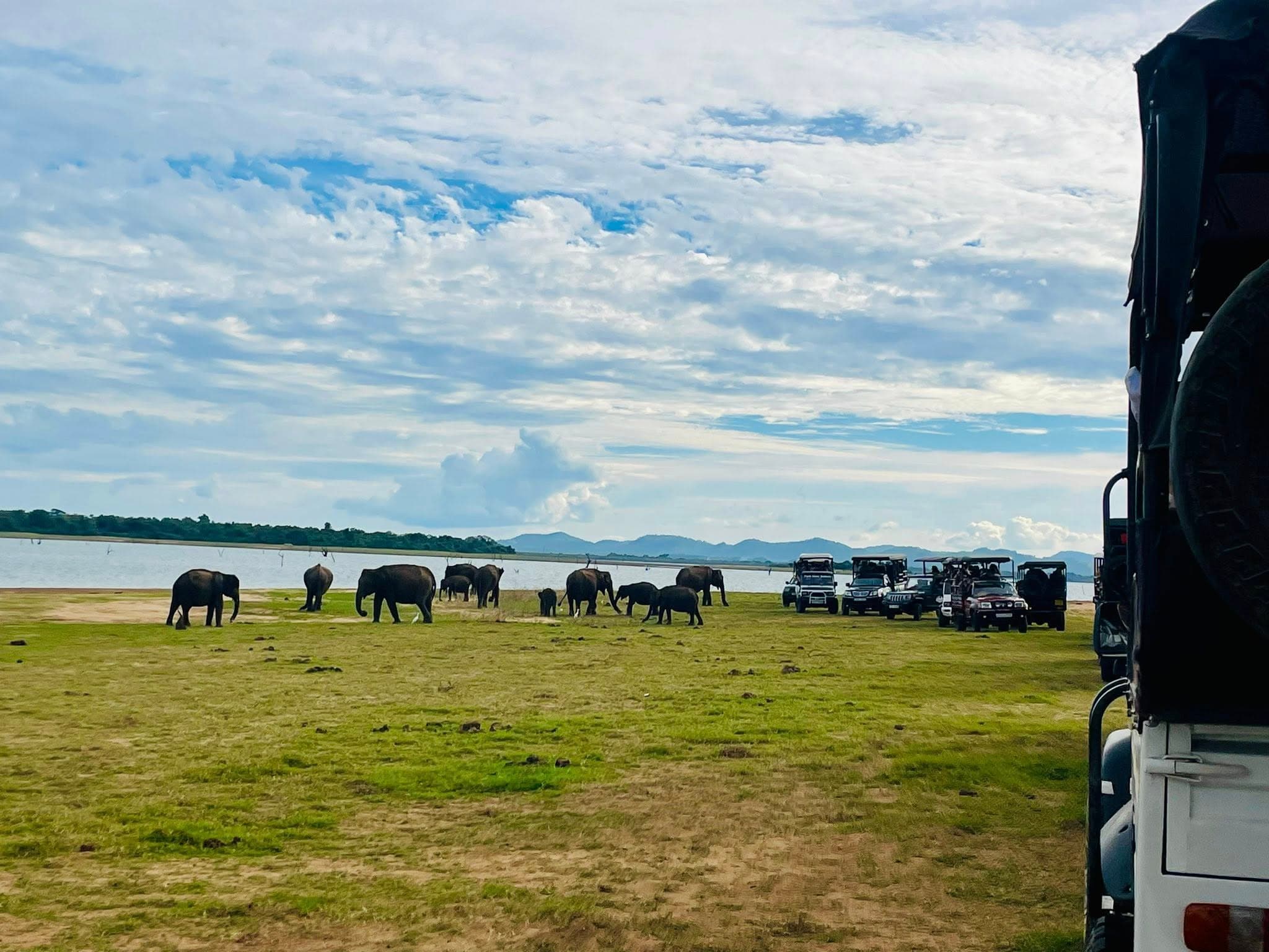 Udawalawe National Park