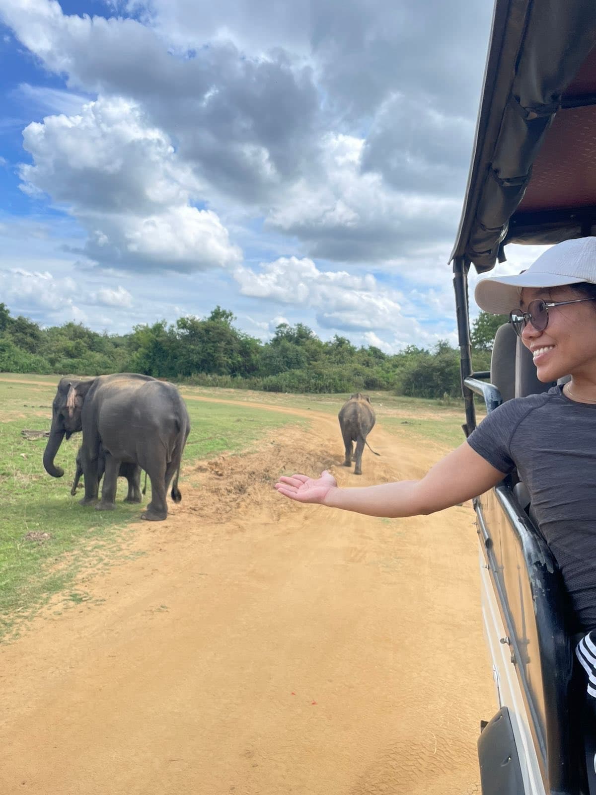 Udawalawe National Park - Gallery 1
